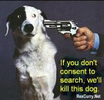 dog4.jpg