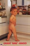 funny_picture249.jpg
