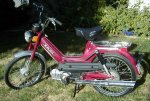 Puch Moped.jpg