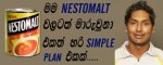 NESTOMALT copy2.jpg