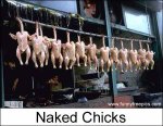 naked_chicks.jpg