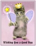 qckittenfairy1.jpg