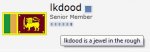 lkddod_rep.jpg