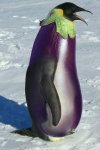 image001.jpg