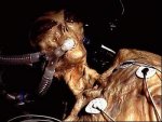 dead_alien_picture_6.jpg
