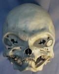 alien-skull.jpg