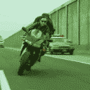 48 (1).gif