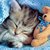 22-friendship-wallpapers.jpg