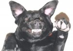 Grrrrrrrrrrrr.............jpg