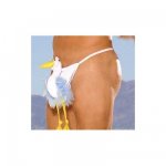 BULGING_UNDERWEAR.jpg BULGING_UNDERWEAR.jpg