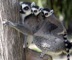 007zoo.jpg