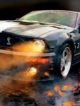 mustang_29ywuw55.jpg