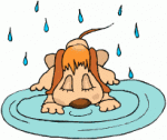 201244.gif