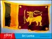 Animated SL Flag.jpg