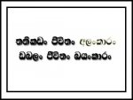 18755_1329746730760_1443735824_30906802_7585736_n.jpg