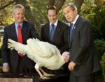 bush_turkey_thumb.jpg
