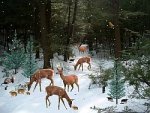 the winter view.jpg