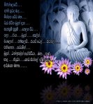 lotus_and_buddha_1152x864-1.jpg