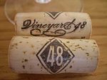 vineyard48.jpg