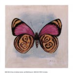 2063~89-Butterfly-Posters.jpg
