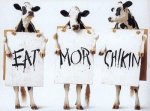 cows_demo.jpg