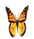 123212.gif