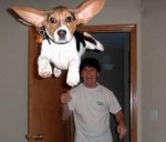 1170937039_jpg.jpg