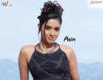 asin-photos-pictures-202_jpg.jpg