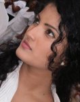 3225790_orig.jpg