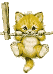 kitty011721.gif