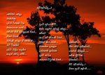 awasarayida.jpg