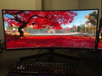 qq0zo96u7og51.jpg