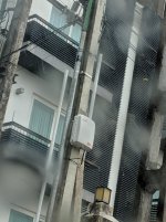 IMG_20210415_143827.jpg