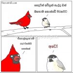 facebook_post17.jpg