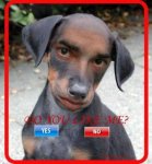 myspace-funny-comments-2.jpg