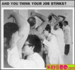 funny-pictures-job-that-stinks-11x.jpg