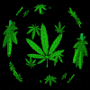 GANJA.GIF