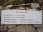 මිනිස්සු වර්ග .jpg