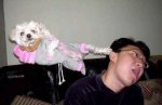 f_animals_24.jpg