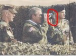 bush.jpg