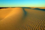 simpsonsunlight-469560-ga.jpg