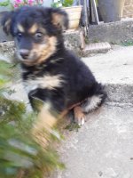 20200314_101659.jpg