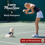 Maria Sharapova.jpg