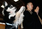 conan_praying_dog.jpg