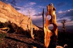 nevadagreatbasin-110353-ga.jpg