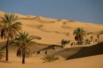 saharacamelcaravan-755838-ga.jpg