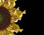 7614f16f.jpg