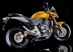 2007_honda_hornet.jpg
