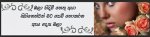 madusanka423.jpg