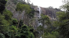 dhiyaLuma 1.jpg